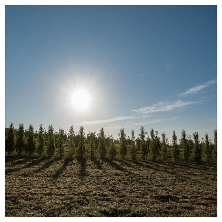 Agriturismo La Torricella Pistoia Dış mekan fotoğraf