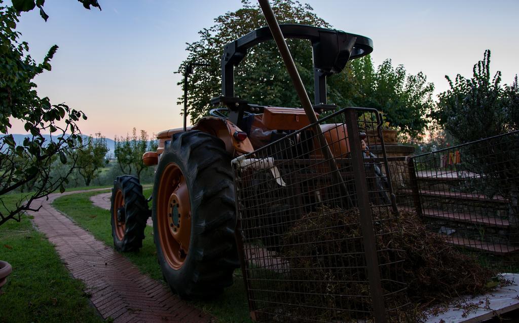 Agriturismo La Torricella Pistoia Dış mekan fotoğraf