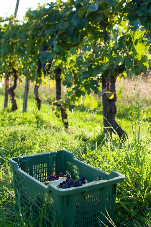 Agriturismo La Torricella Pistoia Dış mekan fotoğraf