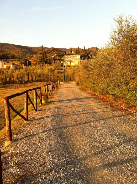 Agriturismo La Torricella Pistoia Dış mekan fotoğraf